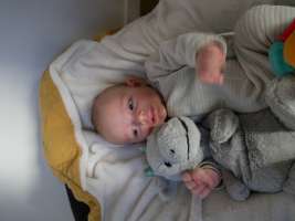 louis
